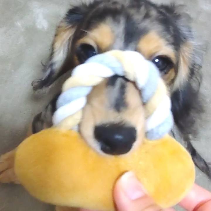 810908b2 7d4c 47ec 9747 9fdaf4fa7861 1758793813109