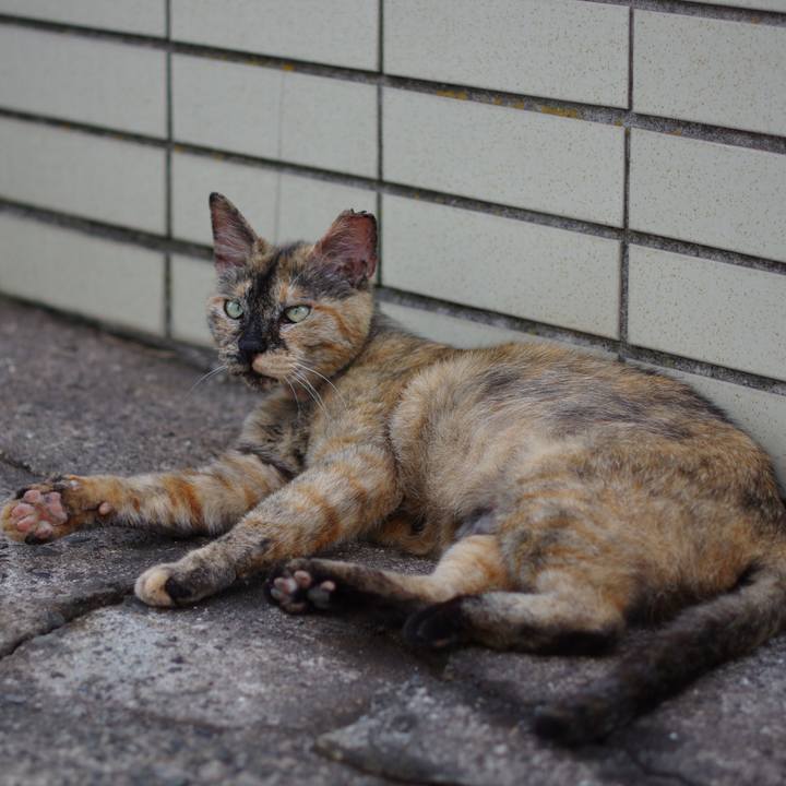 81091395 f626 4759 905d f37c5f49037f 1529835313393