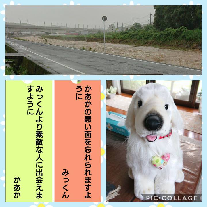 81095899 53fe 446f 9d42 4a707f398921 1594362955806