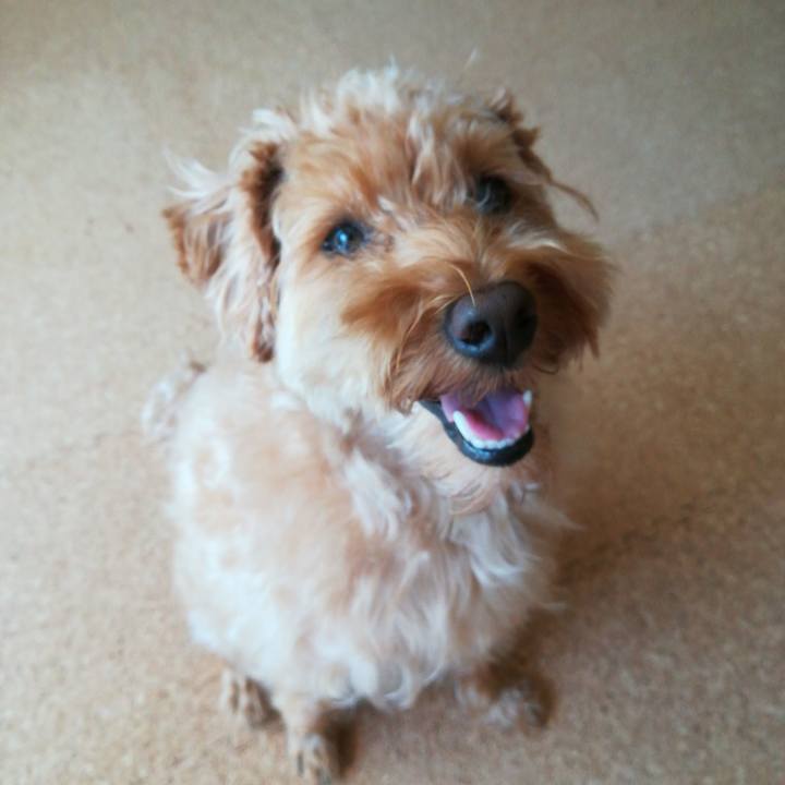 81096369 274d 42d8 ac31 c05b12bd6031 1532751701686