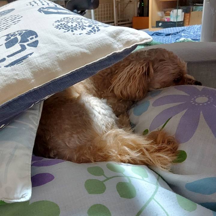 8109981c e619 4047 904b e51b1674c48a 1651016357666