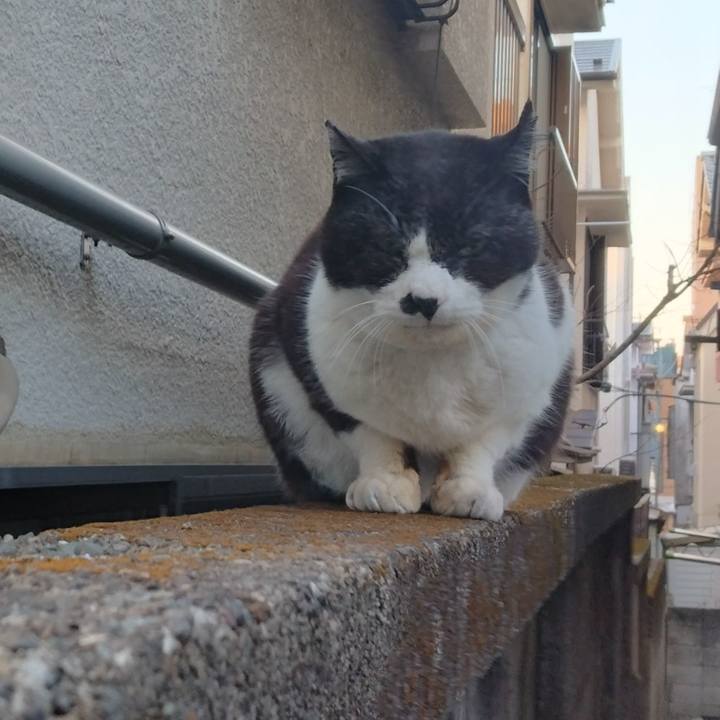 8109a05e 69d8 4f88 b762 f927327c0e1e 1710413650409