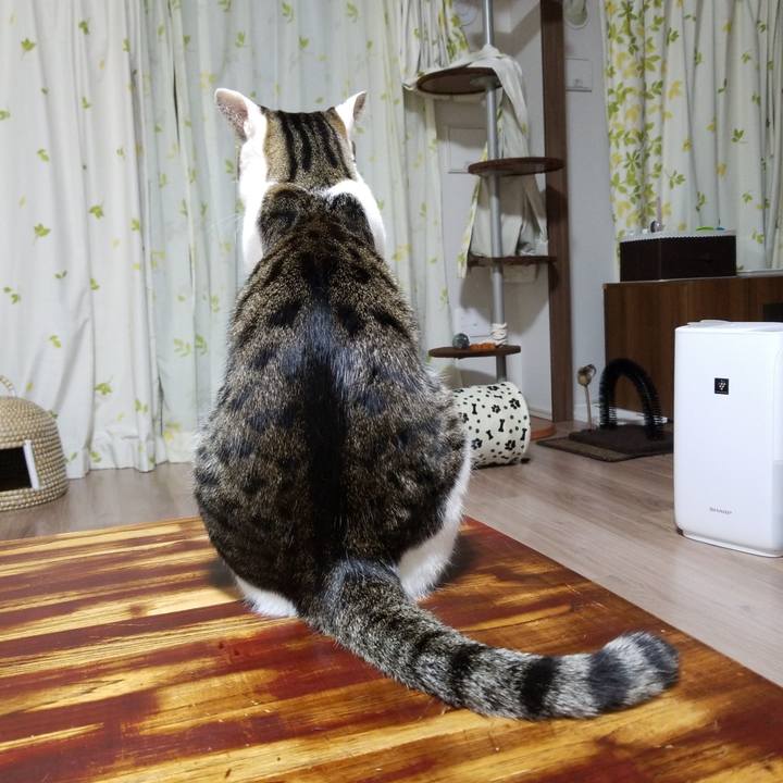 8109aa40 4c0e 48f0 a072 29ee4da89f81 1552646811787