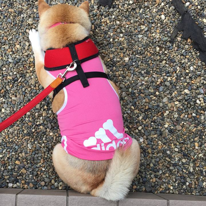 8109aeca 958b 4a12 8c66 3a6e91ac4eea 1589519176971