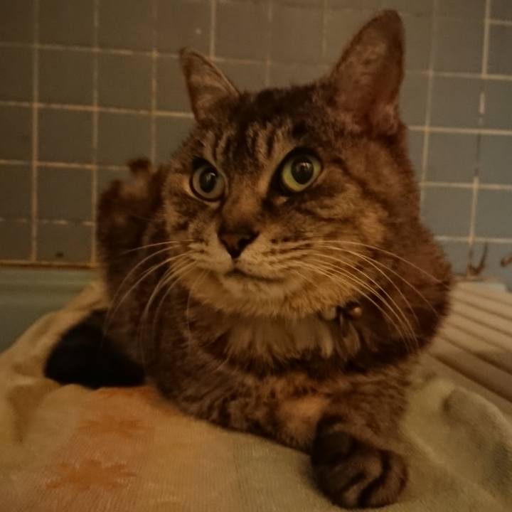 810a14f7 b992 47f7 9398 867cae0a18fb 1583315010742