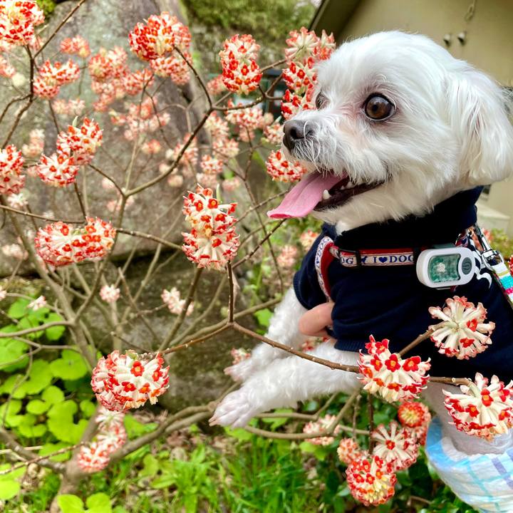 810a1ae1 bda6 48d9 8443 1d693e24927f 1649054903002