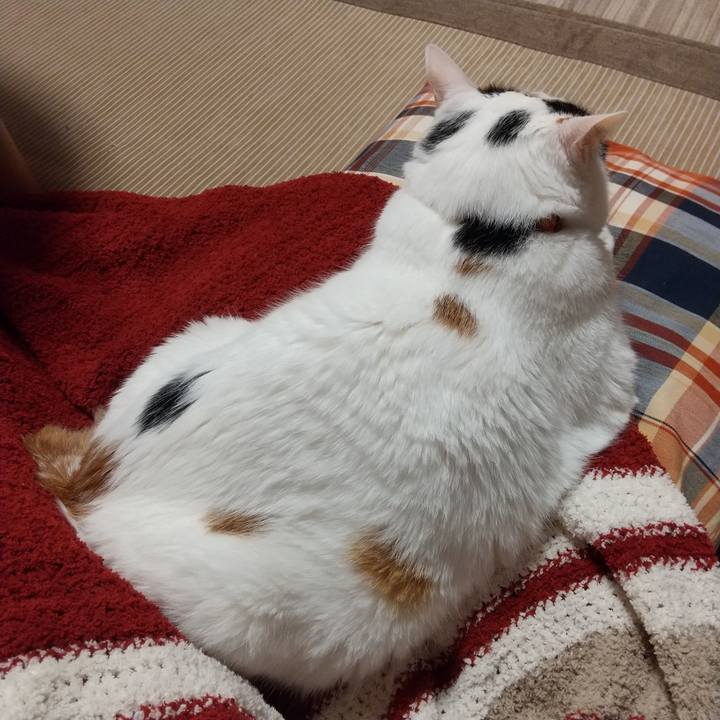 810a5d25 2afa 4e6b 8553 208f5d20bb28 1633073020856