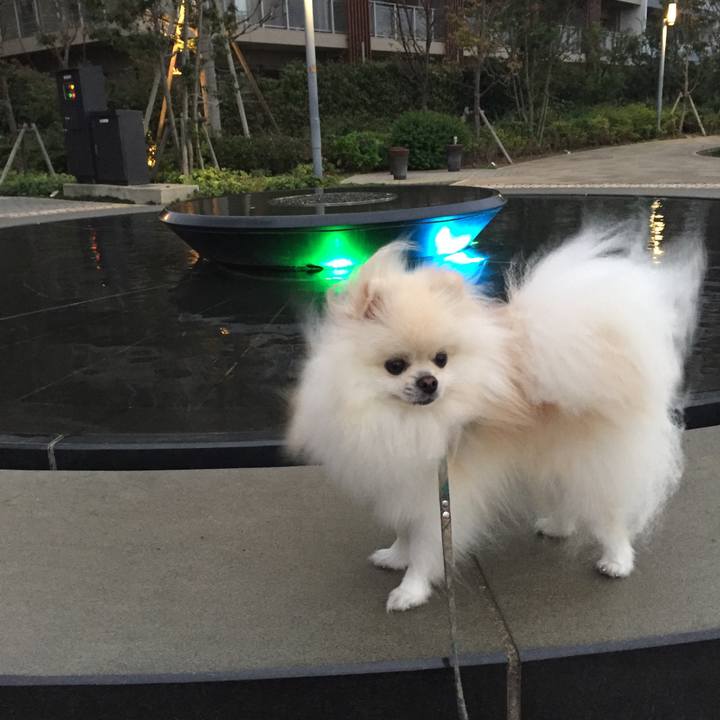 810a6dae 8794 42d9 9517 32ba9bcff5b6 1507845625458