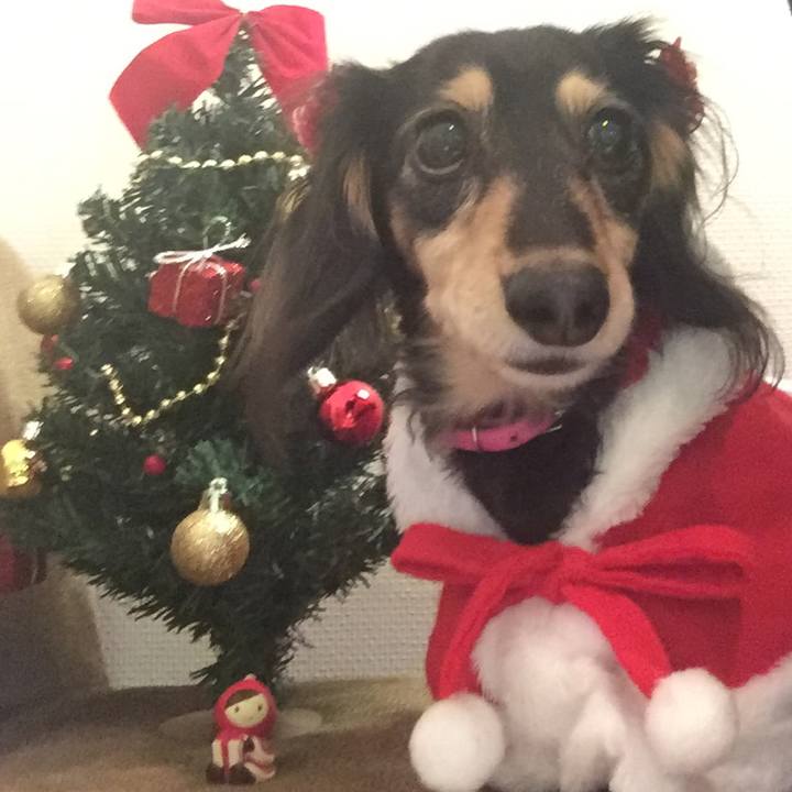 810ab9f5 d037 459b a329 81332cdd353f 1545568925922