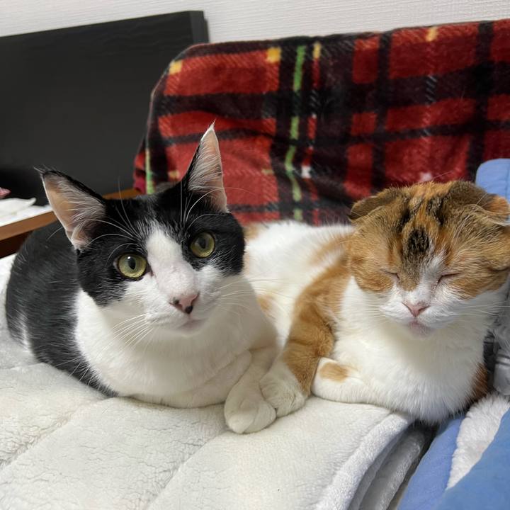 810abfde 158c 46f9 84a9 d3d1b13af8c5 1667636593463