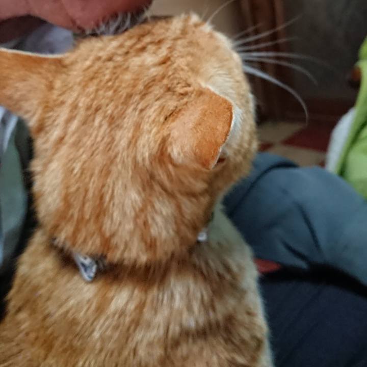 810aca76 7e75 44e9 885c e754b689073e 1587617036582