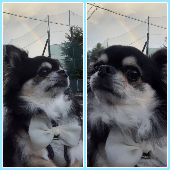 810aff4b 5db5 4b34 b60e 25e47370cf02 1694382692772