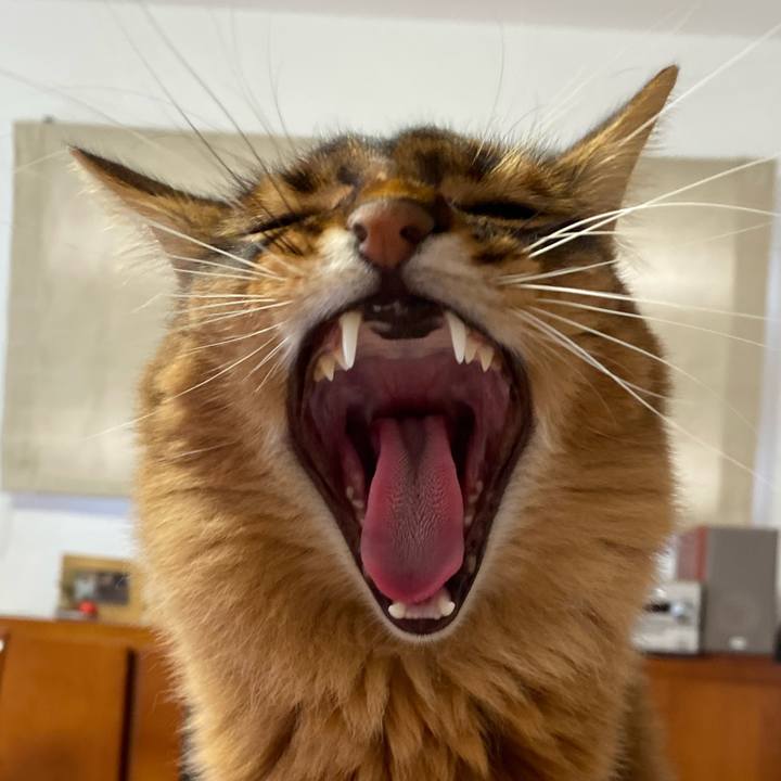 810b023a 3b6b 41ce 9bfe 1bdd54a00504 1669865092328