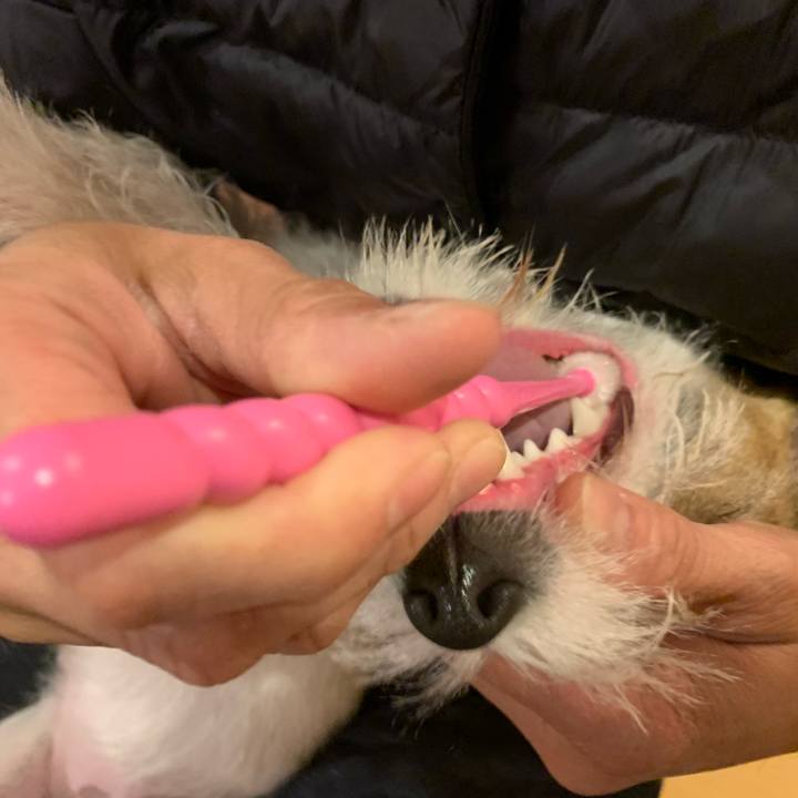 810b26b3 a35f 4876 8d61 05da6b810442 1576409481153