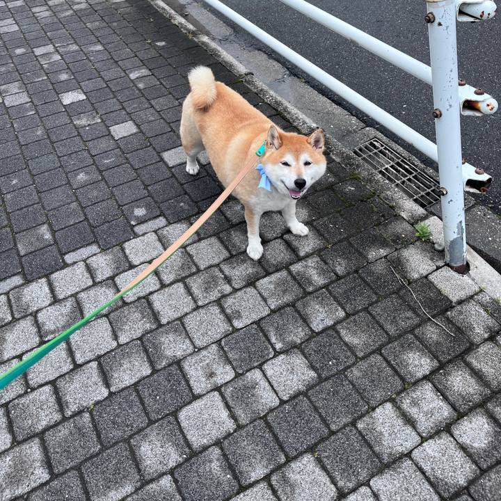 810b27d6 c7ef 457e b8ce 8df2fda4363d 1716861467408