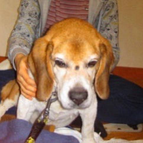 810b359a 198e 4859 9f8d 154f70f7df11 1597376014981