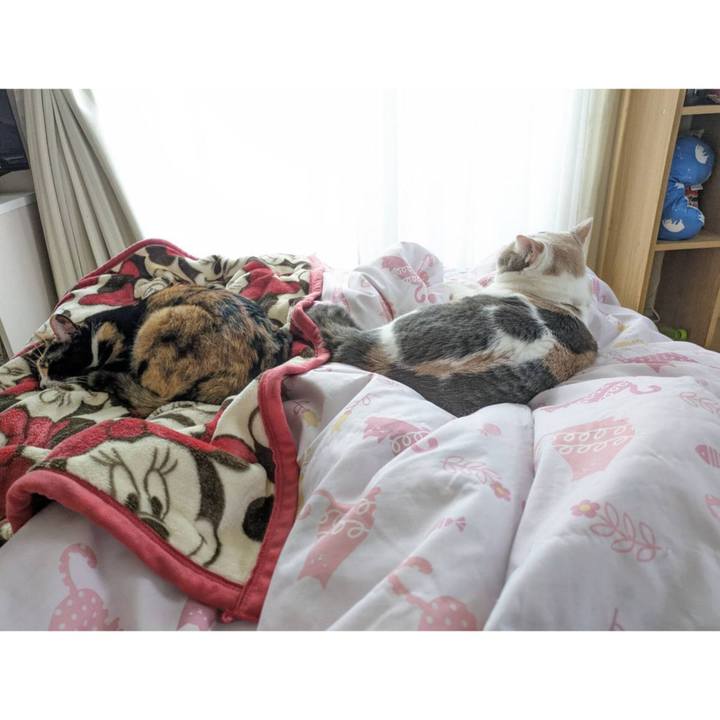 810b4e2b 928b 4111 b199 95913aa02ac2 1698032716270