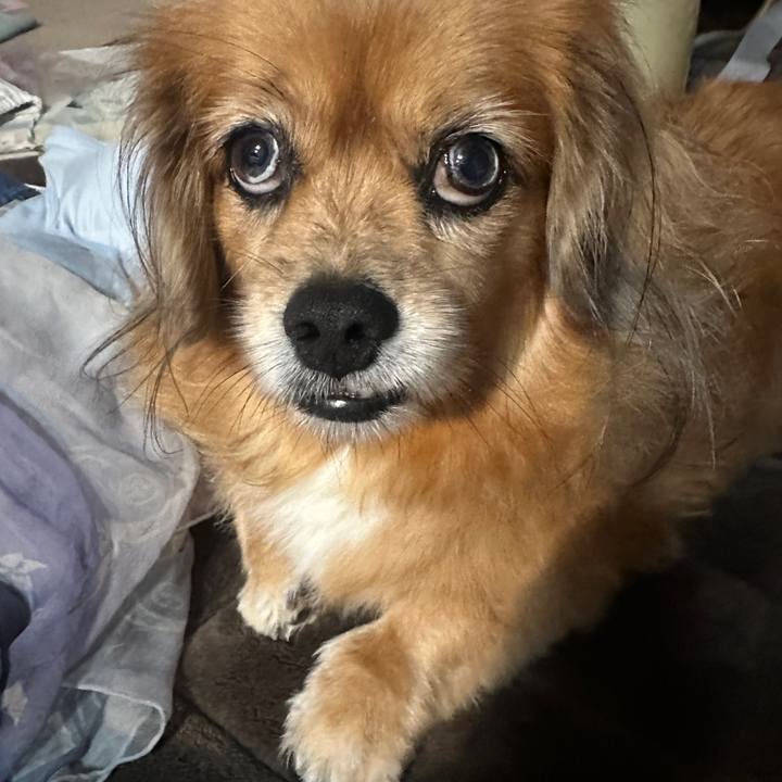 810b5bbf 4c71 4e26 bf9c 053bf0fcbeca 1730237034130