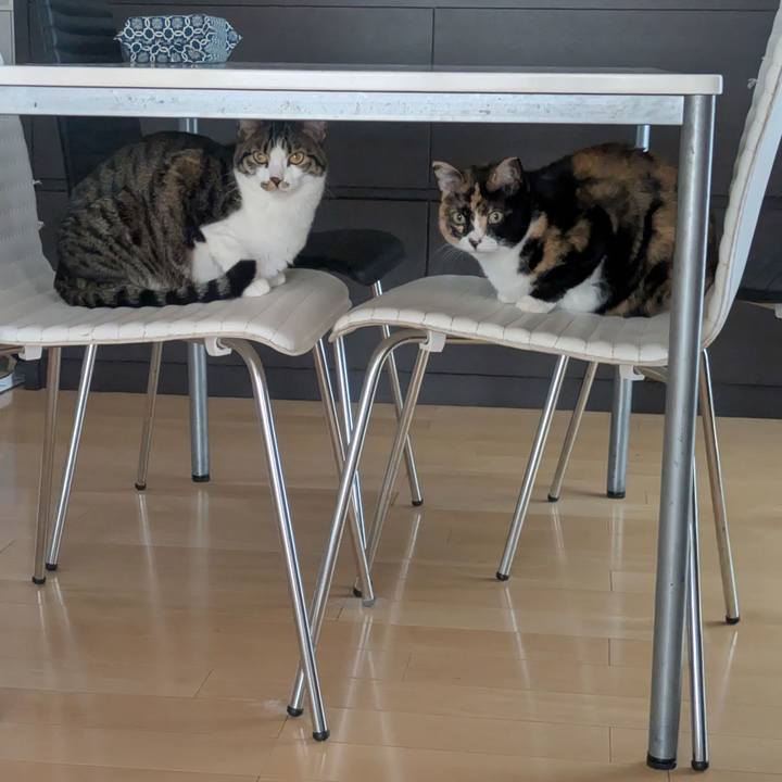 810b6906 66c0 4552 a3e4 c4ae24aa04ba 1769608529780