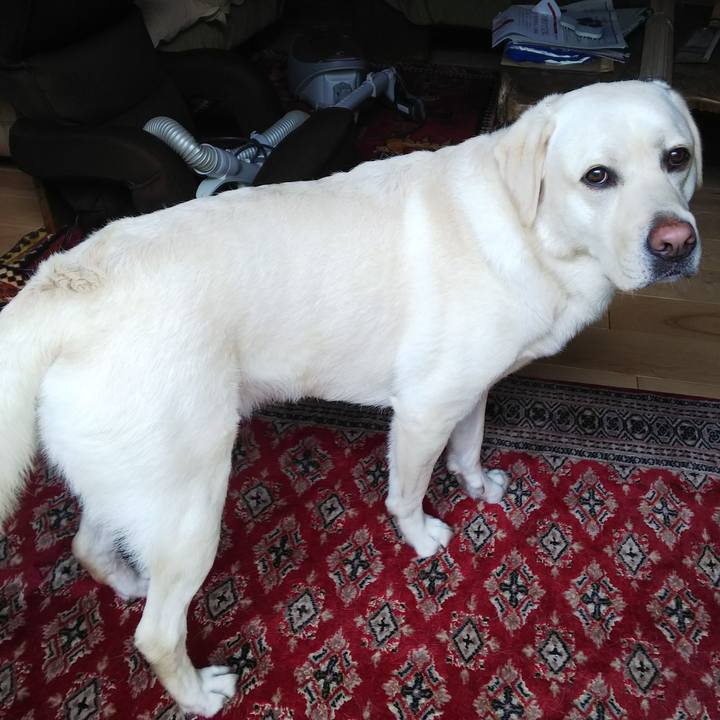 810ba311 5609 4f7e 9067 b19eddd8b356 1528520826025