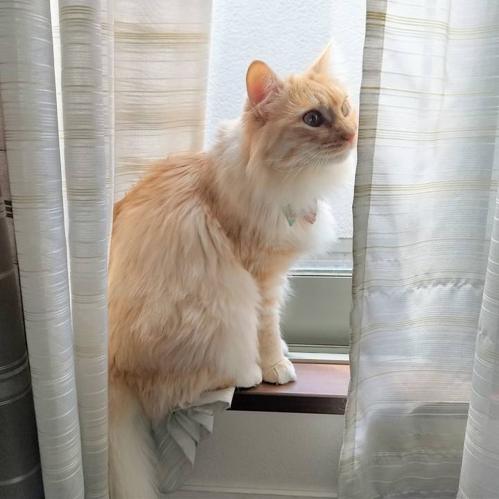 810bacde ea5c 4b26 948e 267045c4aeed 1650160121665