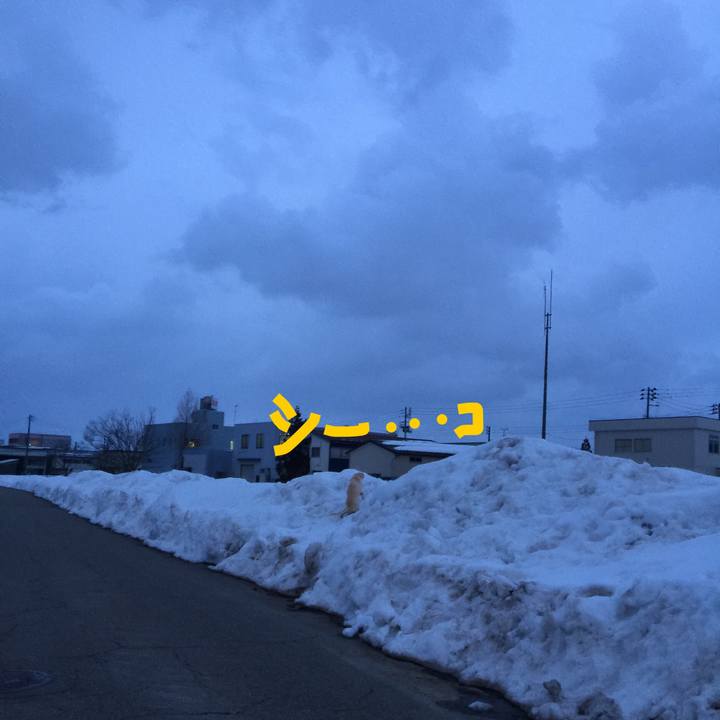 810bb4f8 3e5e 42e4 81d0 39249eb3d621 1519722569021