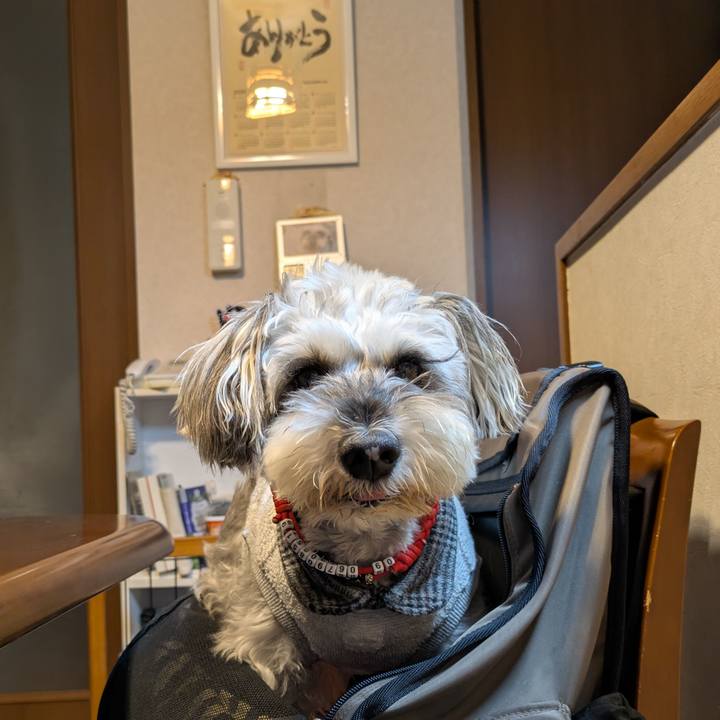 810bd292 c67f 4acd 9cb6 8e5d76520963 1761743335378