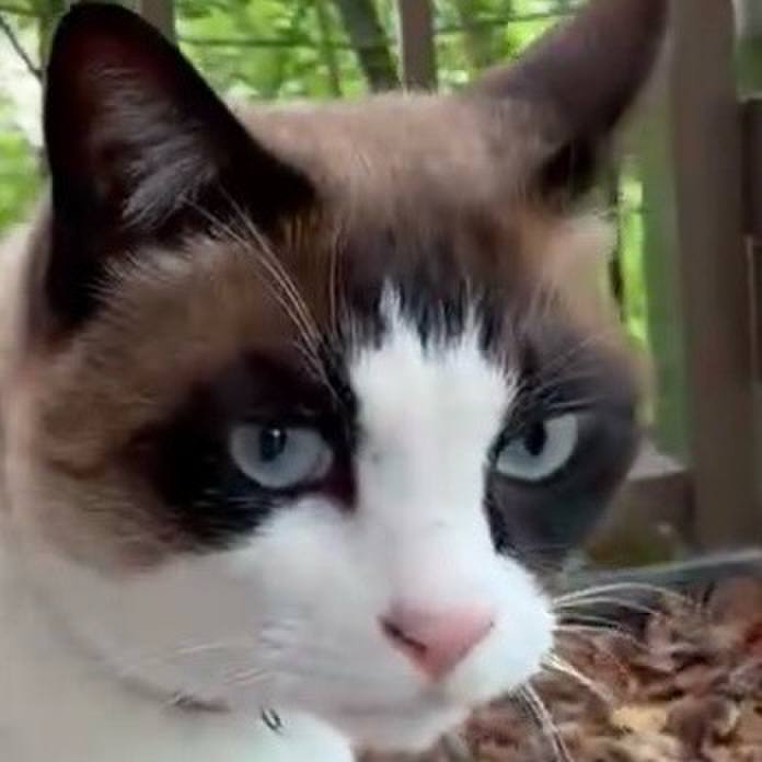 810be457 eca6 4e91 a805 0de67f4836a2 1775214235509