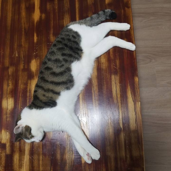 810c0801 2cc2 4290 bab7 dc545589d471 1562275208459