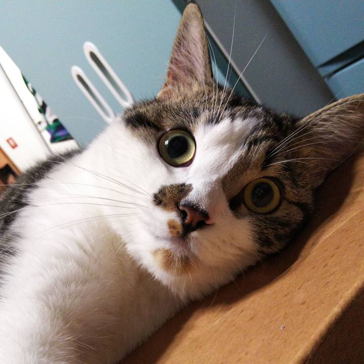 810c09a5 9e83 46bc 8775 d0e1ee87b554 1627558926818