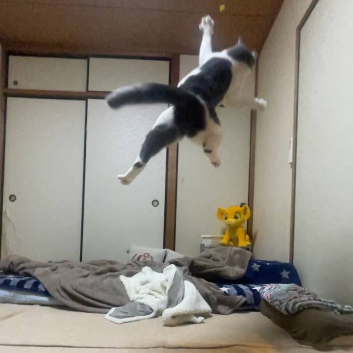 810c142d 606a 4240 91a3 97e84eb2d7f5 1678877019336