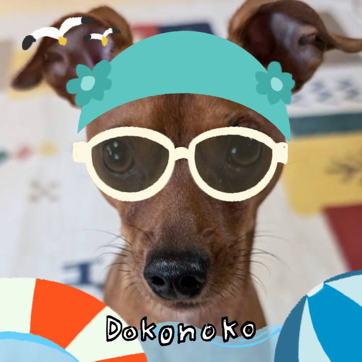 810c6667 56f0 4b80 b584 9150e2ef8acf 1723422101041