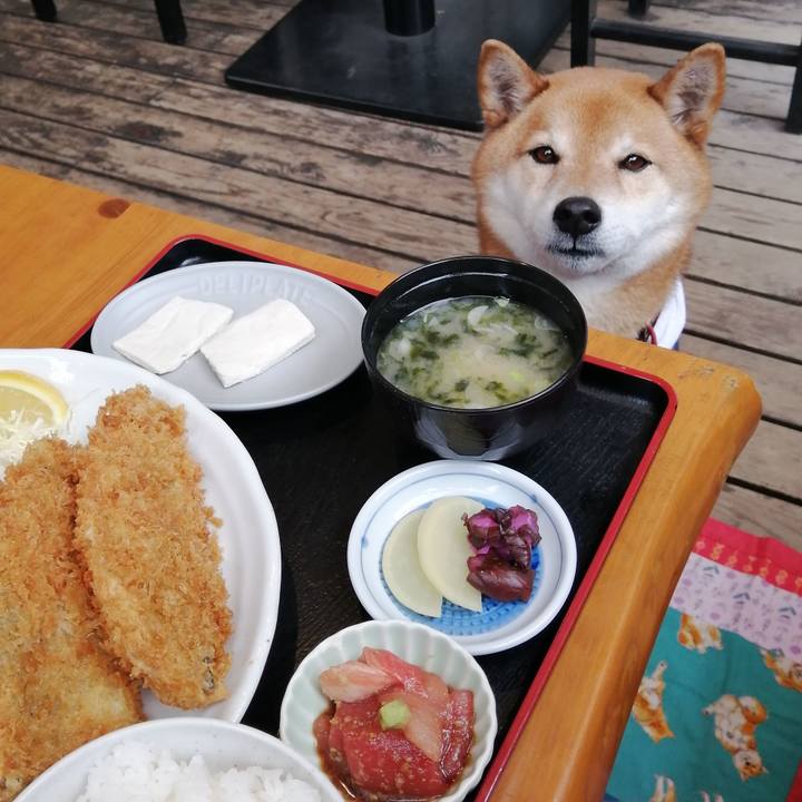 810c67fb 234b 415d 9f9d 3d9ce8d61343 1648039200464