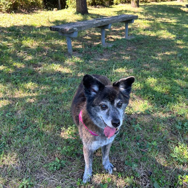 810cb6d0 3593 4cc0 97fe 02b9f483102d 1726801790050