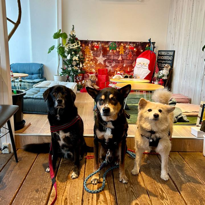 810cc04e da0e 4395 9b56 754bc04cd974 1732980156627