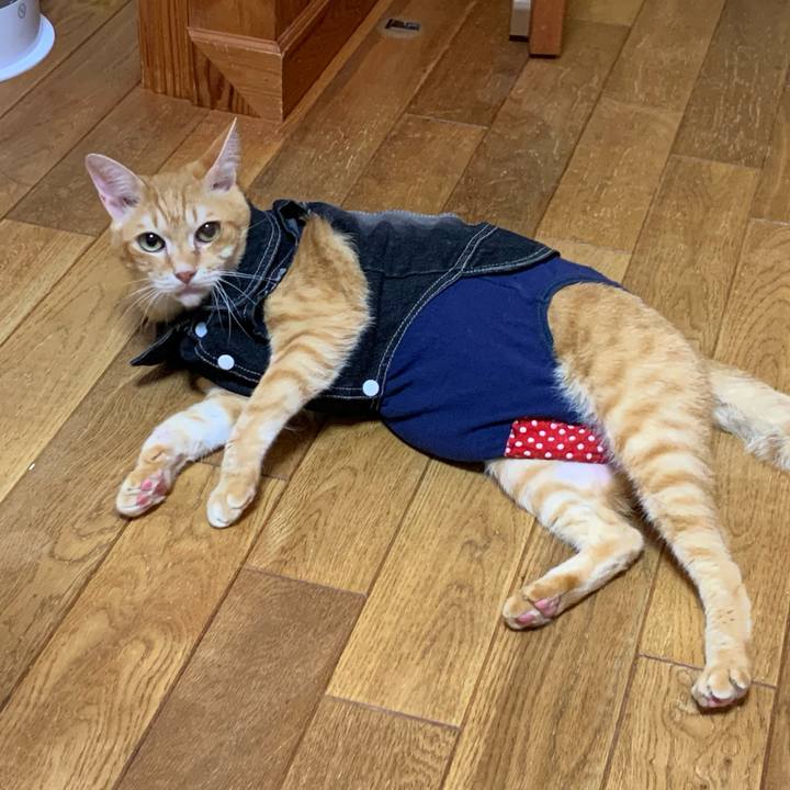 810cf0da 940d 46ee 9be9 169011f60a58 1624873536418