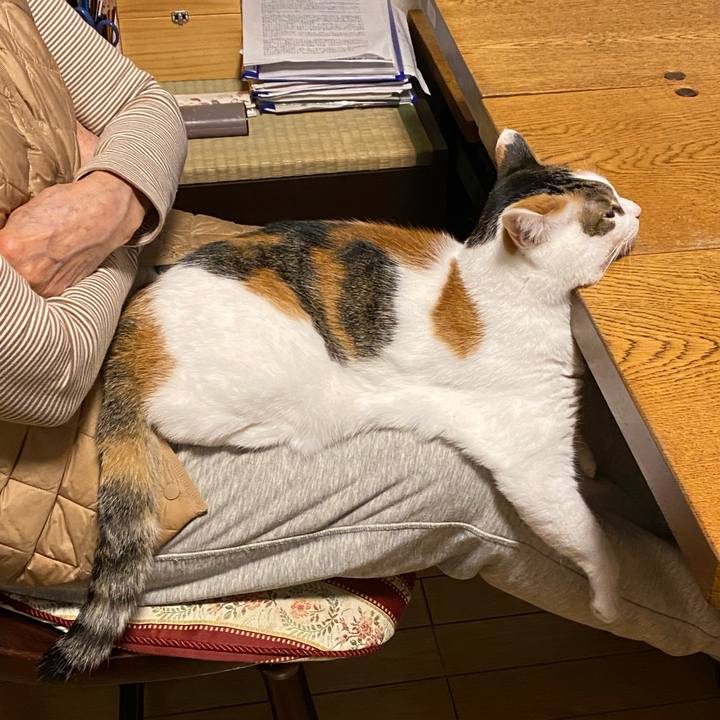 810cf0dc 3e2d 4512 ae1a b884581caebf 1770801417356