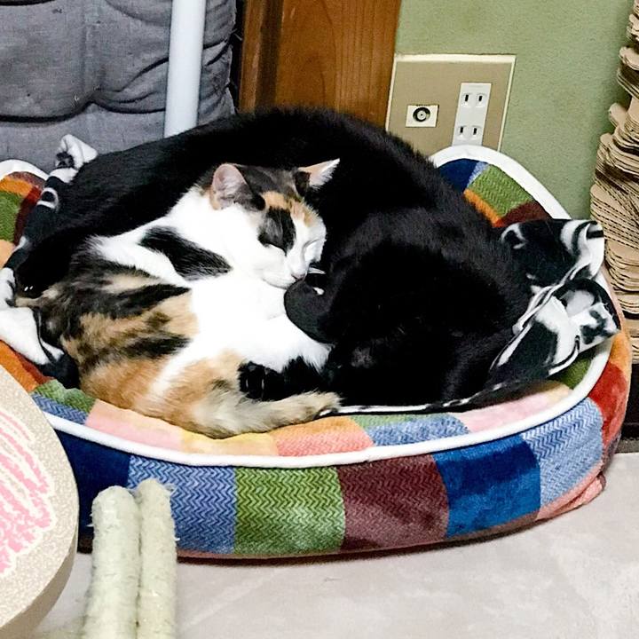 810cfd17 ae61 4c2f 97e7 b46f9880ac85 1511142428939