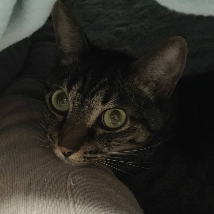 810d1b5e ae05 4bfa aa9f 612071ba2000 1508044057294