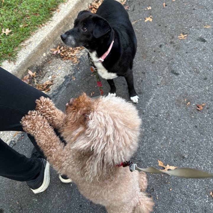 810d2477 c564 4b90 a192 51b3ce316946 1758844910387