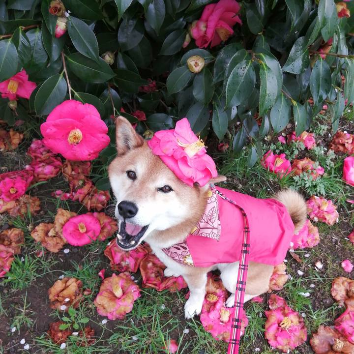 810d30ce 5976 4f57 9419 aaa15746d592 1679643119856