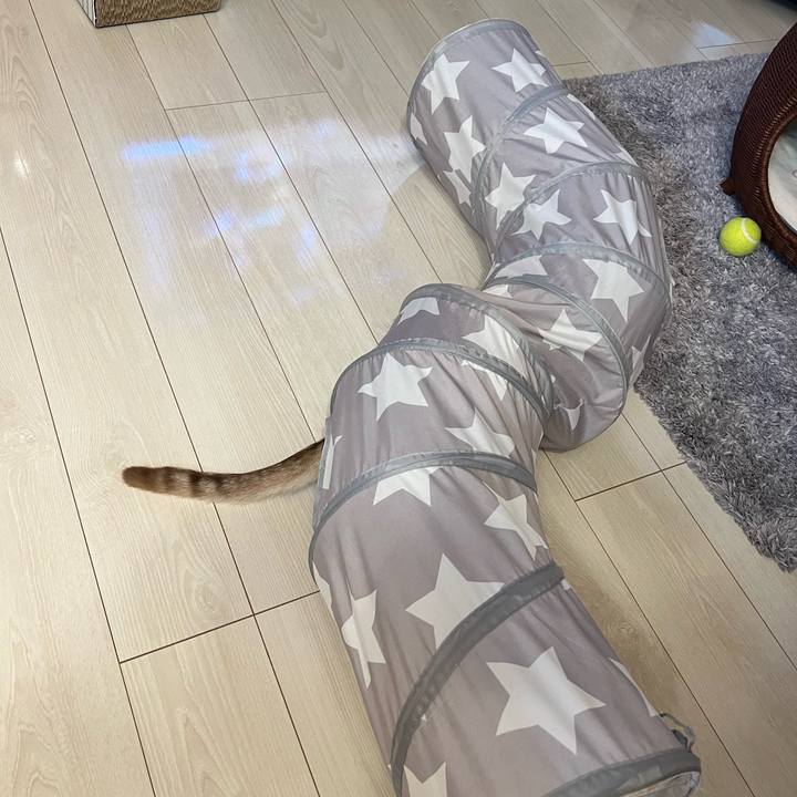 810d5f6a 545a 458f add9 bd1bf2b4d5ea 1672233183937