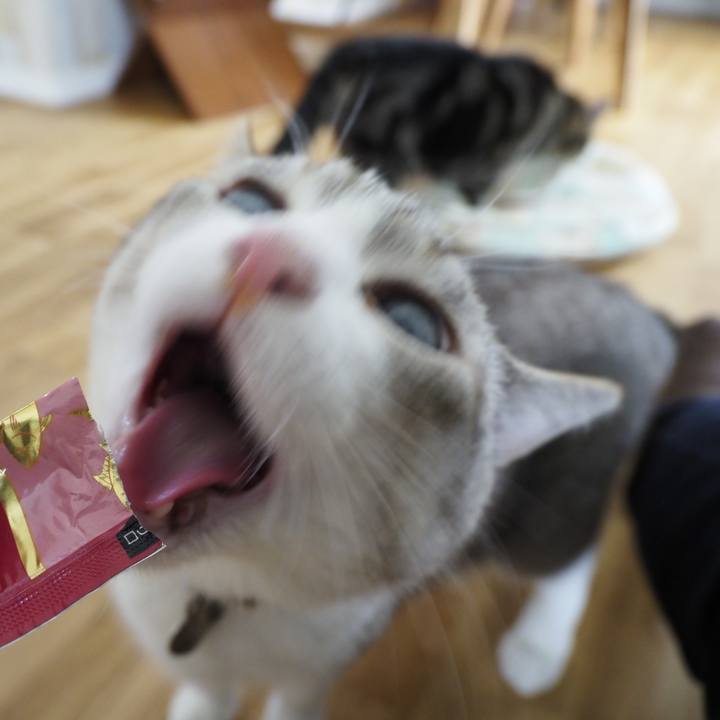 810db175 8e63 4114 8d34 c175c6a125a5 1623244370524