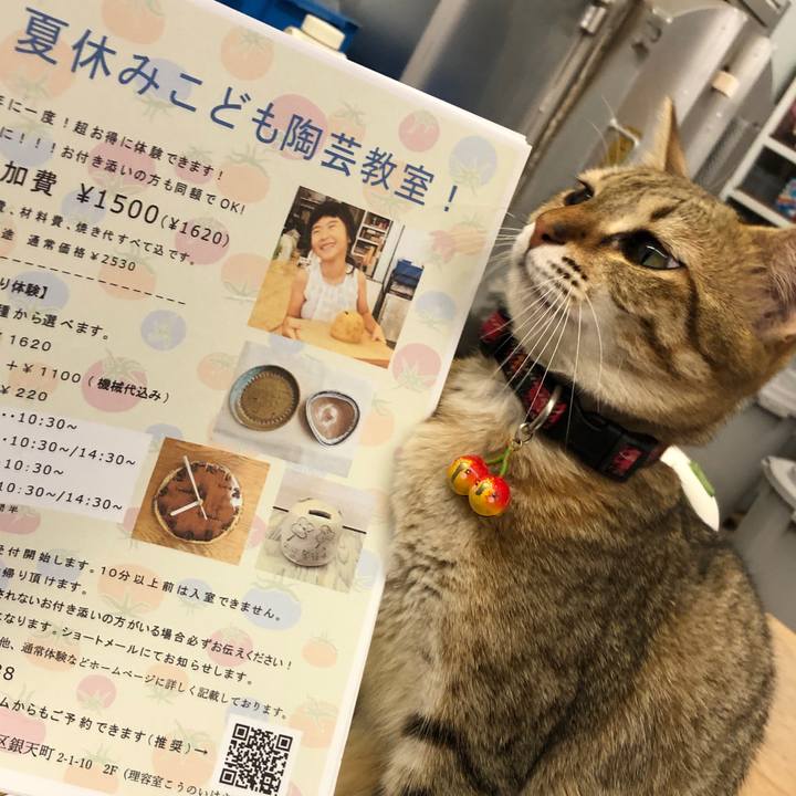 810dc8b7 45f5 4a1c b0c6 8e6f87fa5a10 1595840315645