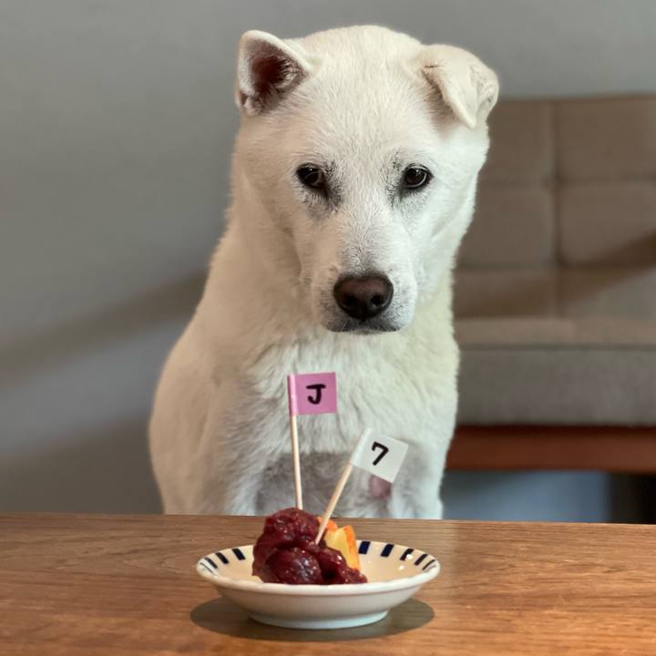 810dd134 7265 4986 9c99 2d0f871e5d5e 1725928095449