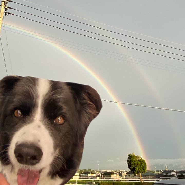 810e24a6 d511 4c4b 9a61 468c62ba6f5d 1756977851301