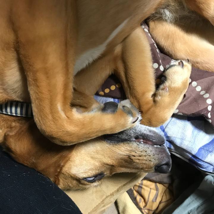 810e3cb7 c85c 4128 97c0 ecaffd75f117 1524655603888