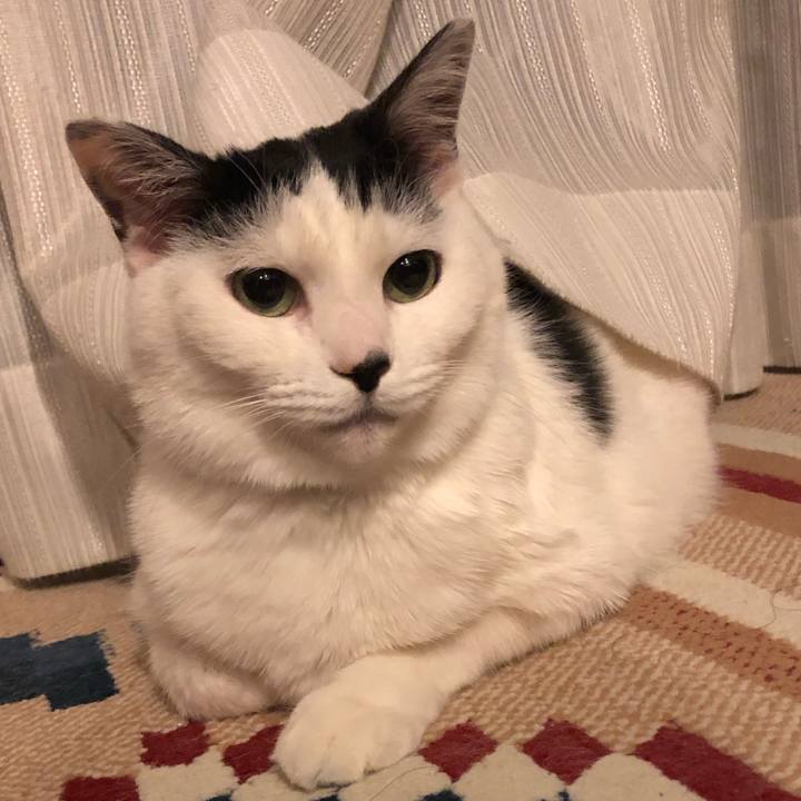 810e4251 3754 49c9 b8b3 e0830e0f511a 1545747496037