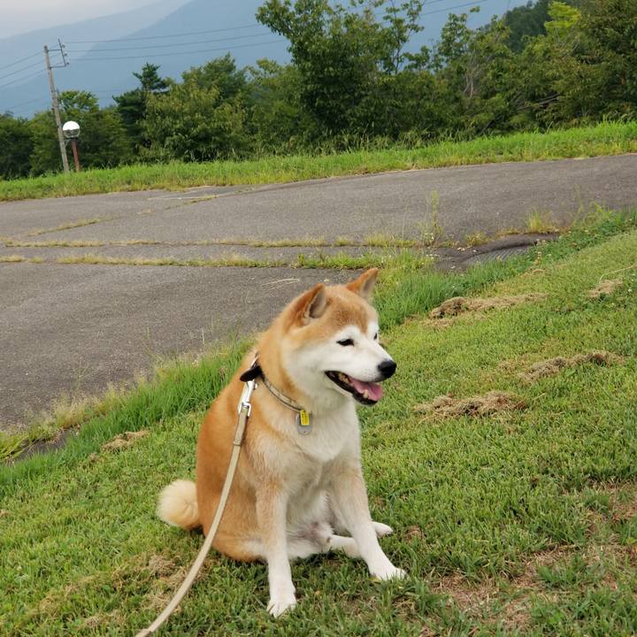 810e516d 5ec4 4b99 9439 861db2b4aaaf 1660121322902