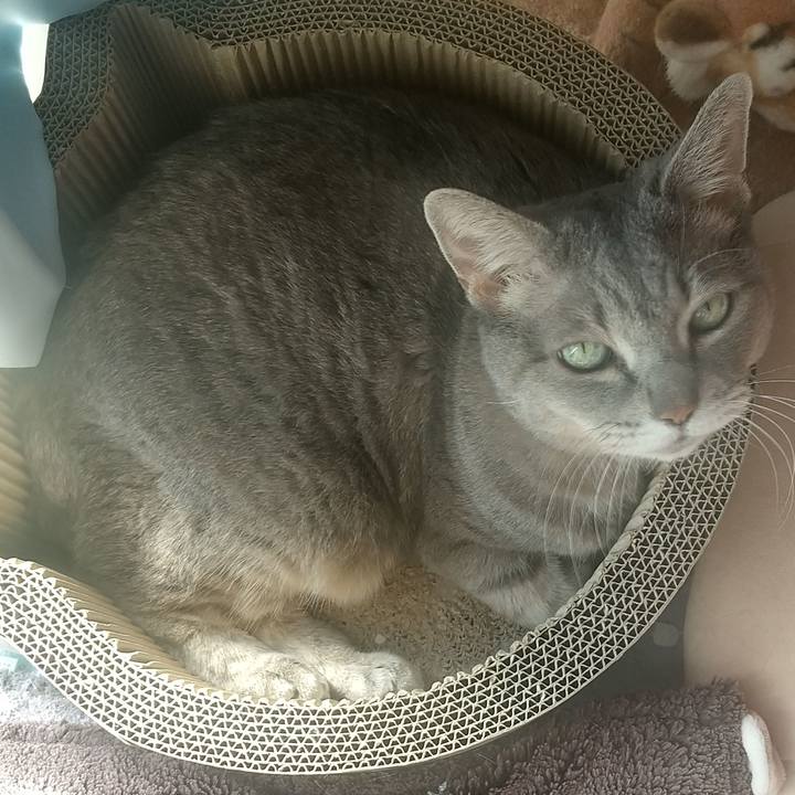 810e68ce 04bc 46c3 b84e b550160d4a1d 1638433687928